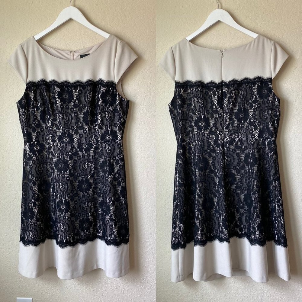 Adrianna Papell Plus Size Lace dress